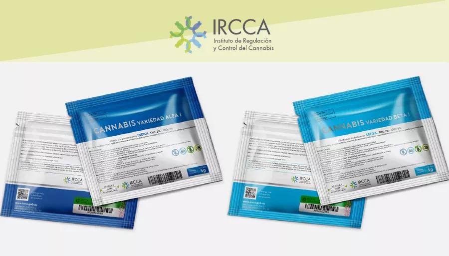 IRCCA