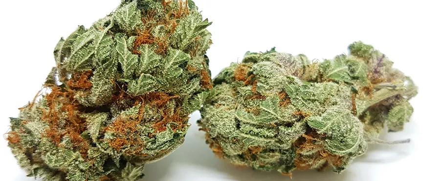 Chemo