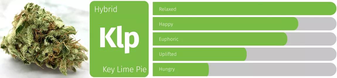 Key Lime Pie