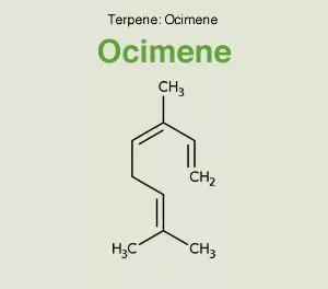 Ocimeno