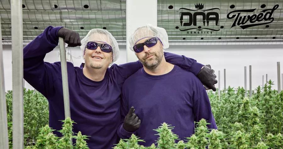 DNA Genetics