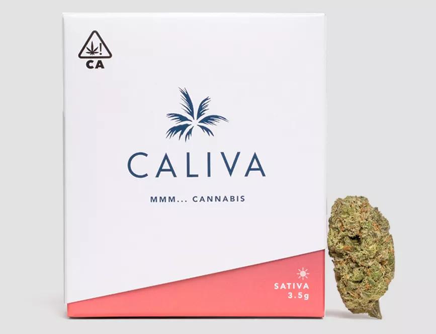 Caliva