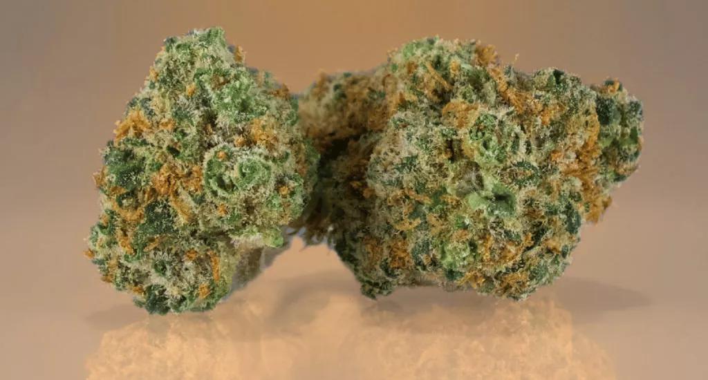 Chocolope