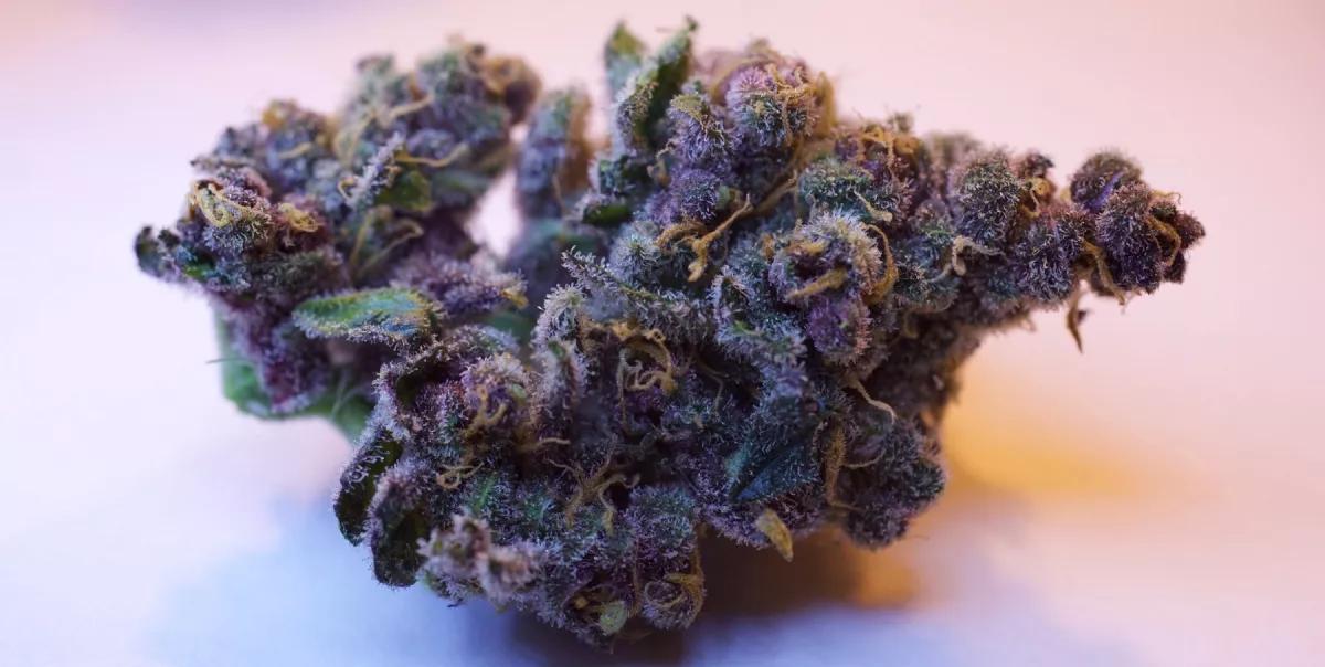 Black Cherry Soda