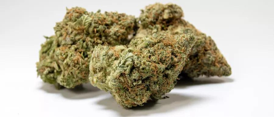 Venom OG