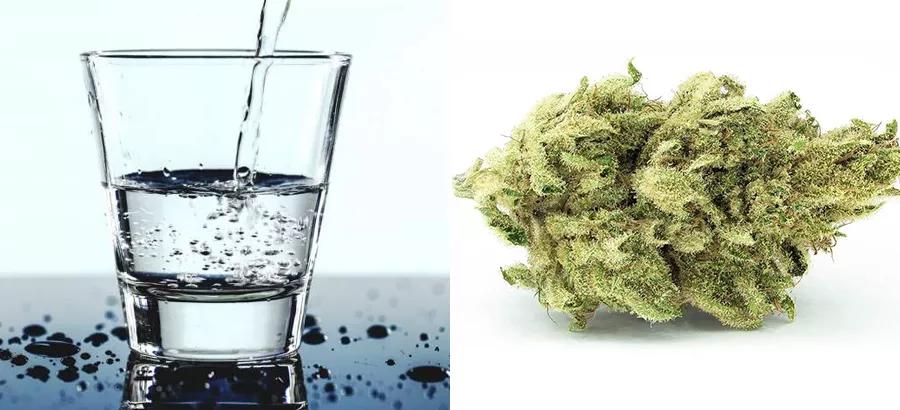 Agua – Cannatonic