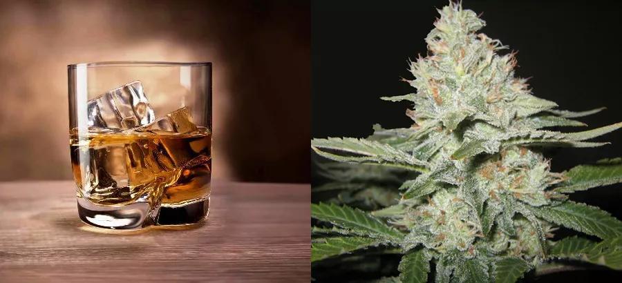 Whiskey – Ogre