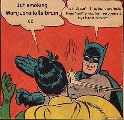 El cannabis no te deja tonto