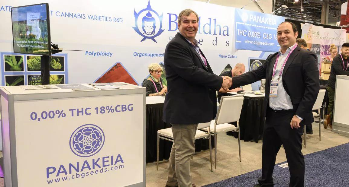 anakeia, la primera variedad de cáñamo sin THC (0,00%) y alto contenido en Cannabigerol CBG (18%) llega a los EEUU de la mano de dos empresas locales. 