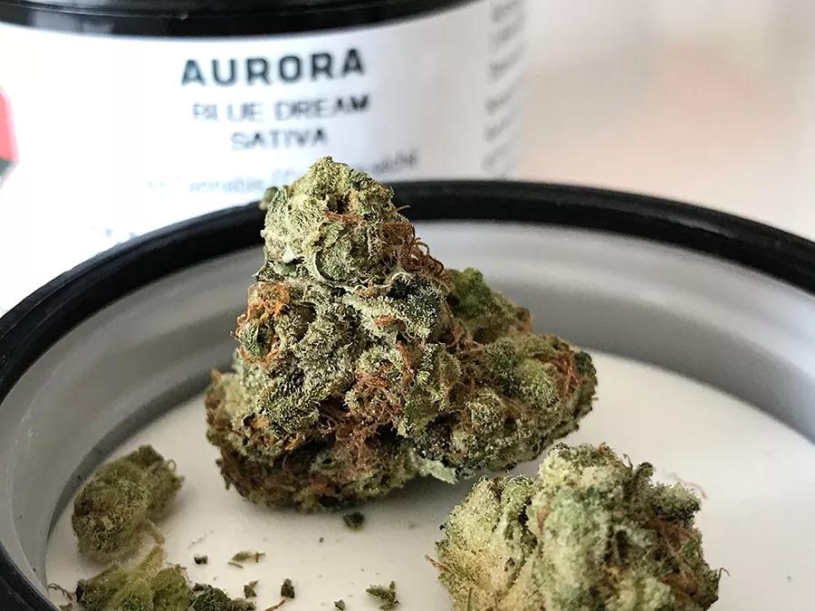 Aurora Blue Dreams