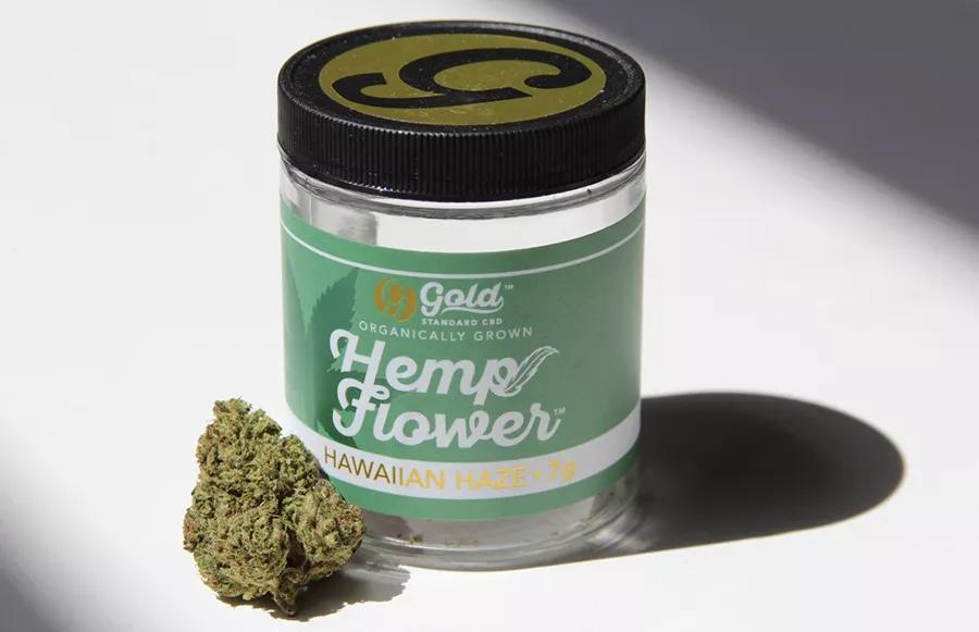 Flor Hemp Cup 2020