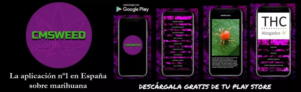 App CMSWEED
