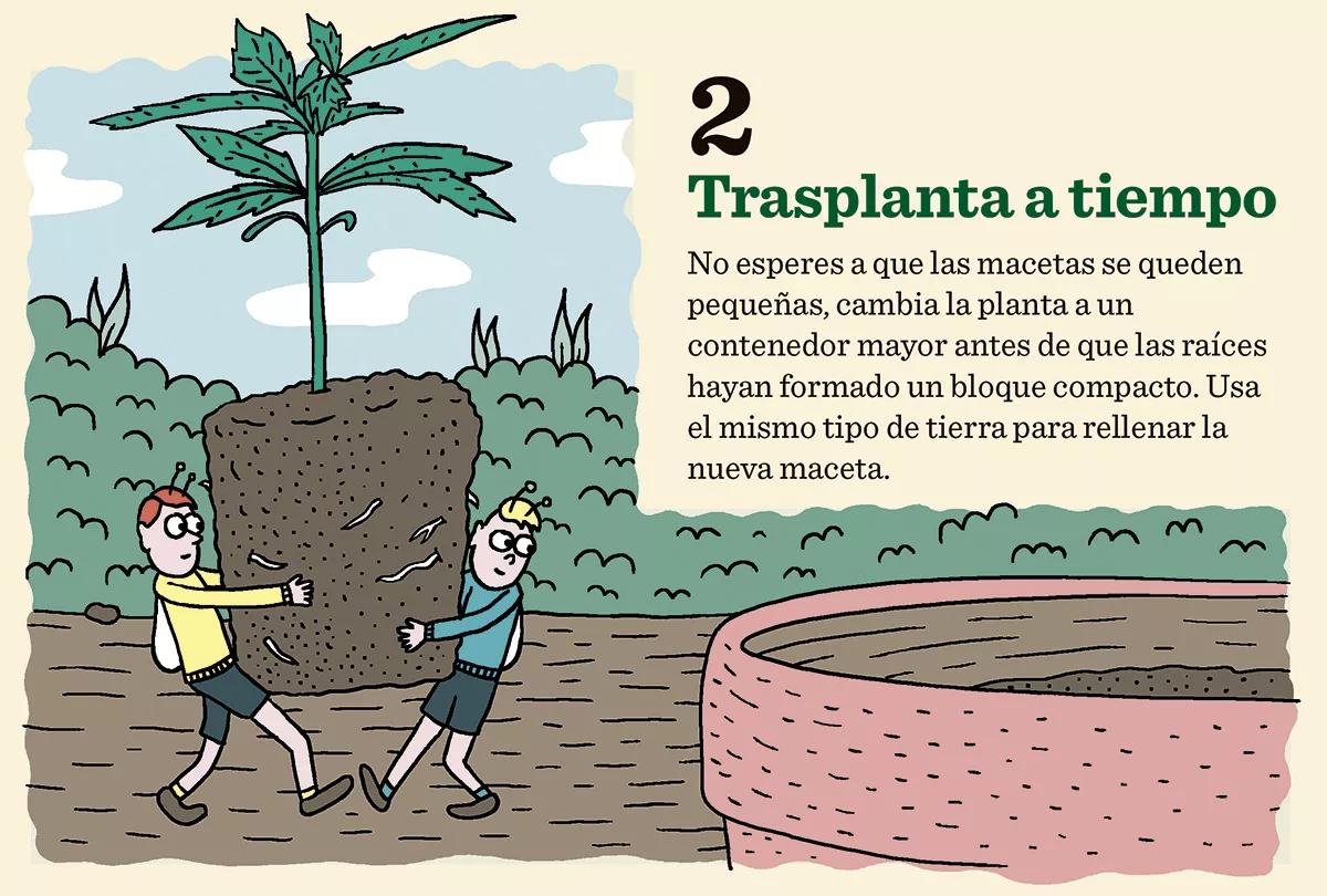 9 trucos cultivo 02