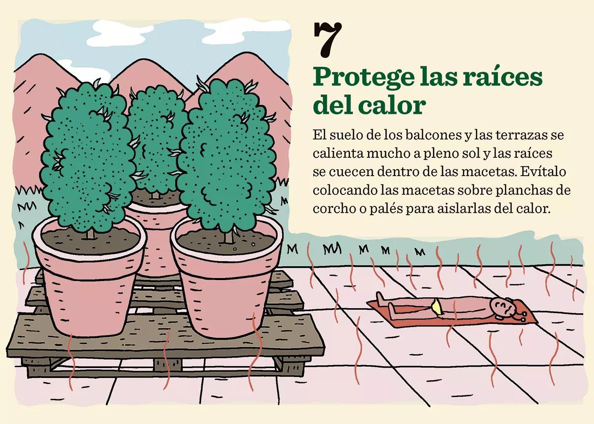9 trucos cultivo 07