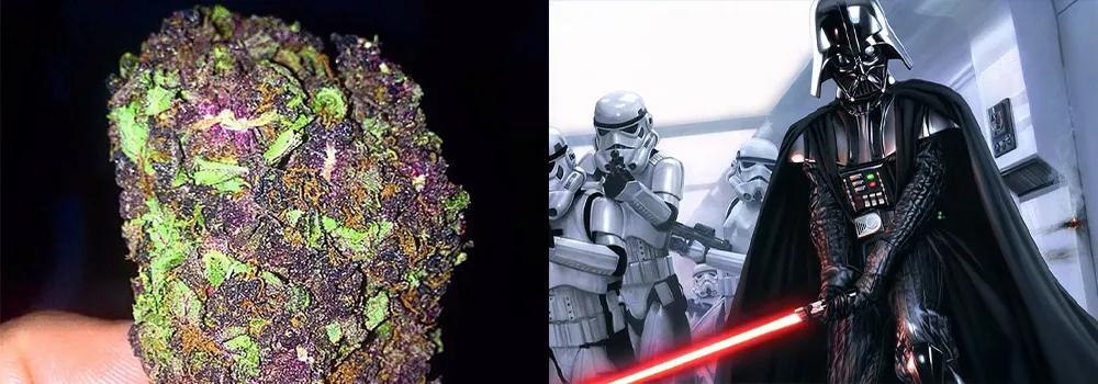 Darth Vader OG
