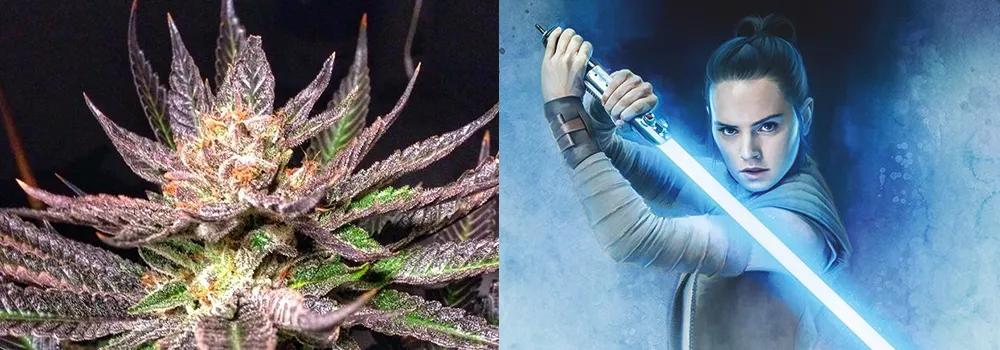 Lightsaber