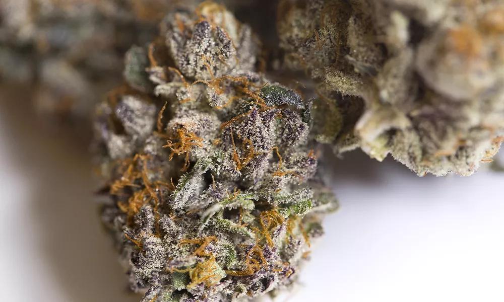 Jet Fuel