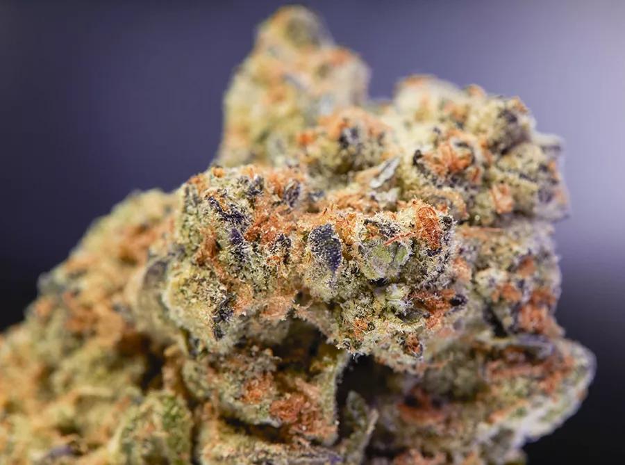 GSC