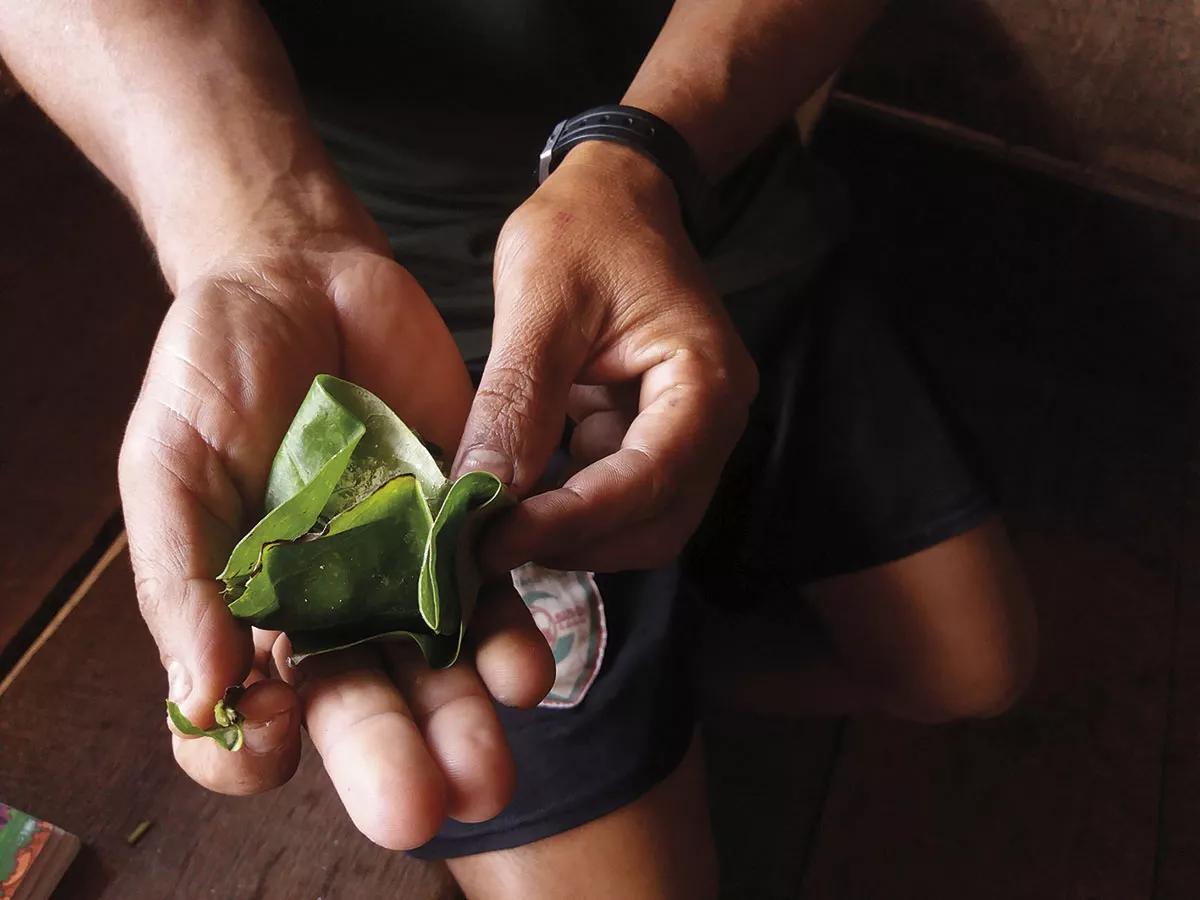 Betel