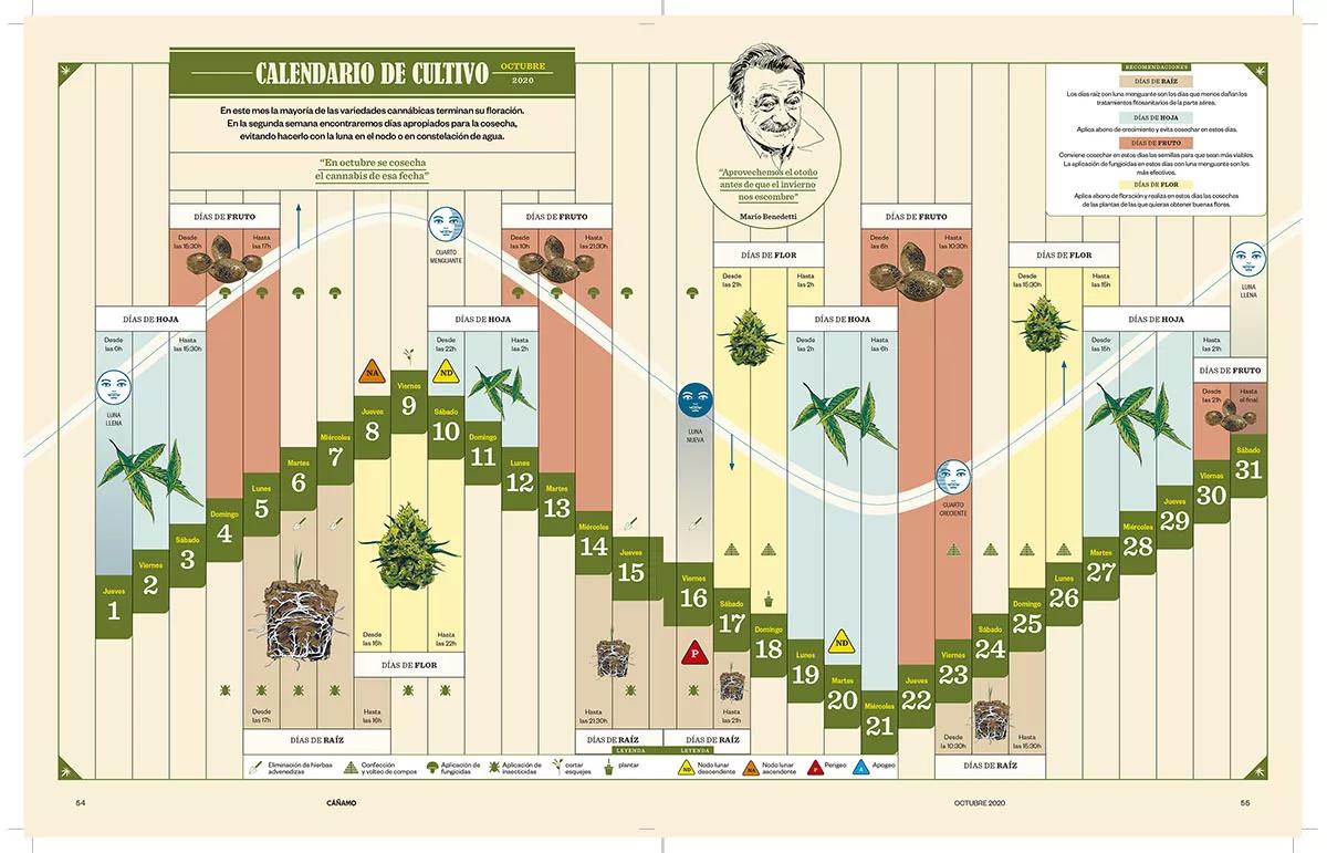 Cáñamo - Calendario Octubre 2020