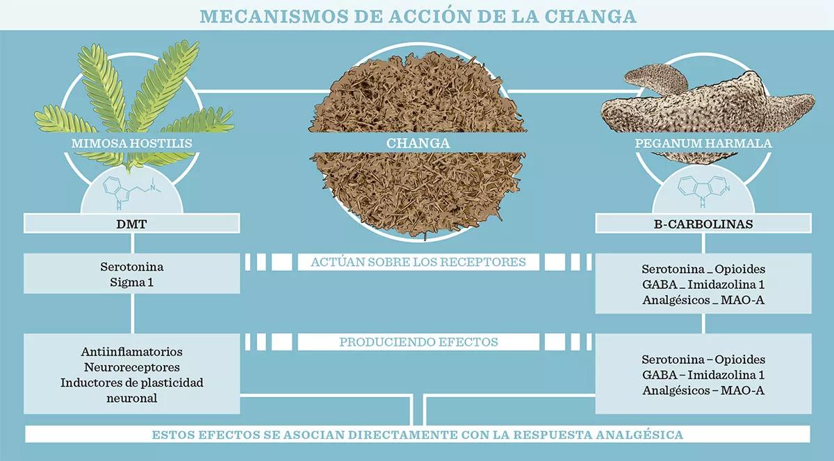Changa