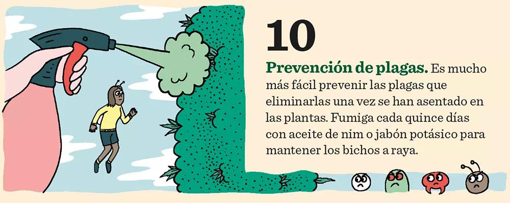 Diez claves para tener éxito en el cultivo de exterior