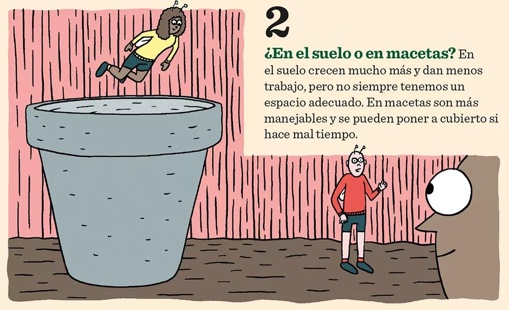 Diez claves para tener éxito en el cultivo de exterior