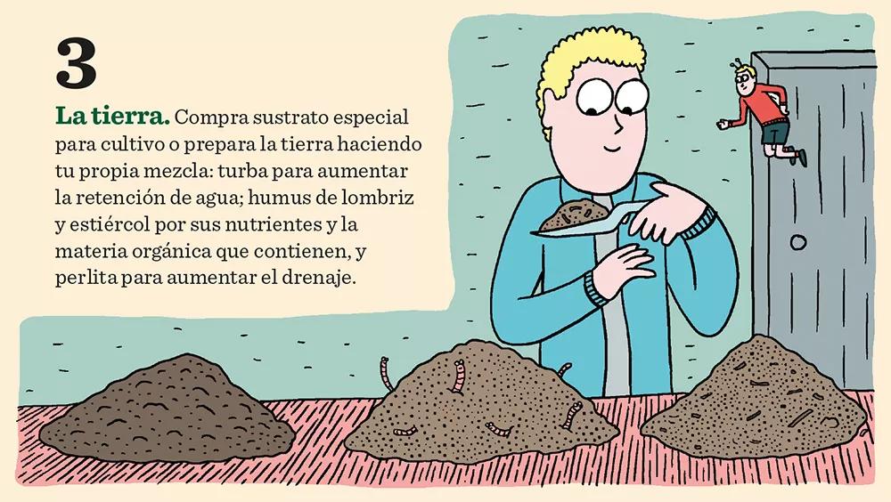 Diez claves para tener éxito en el cultivo de exterior