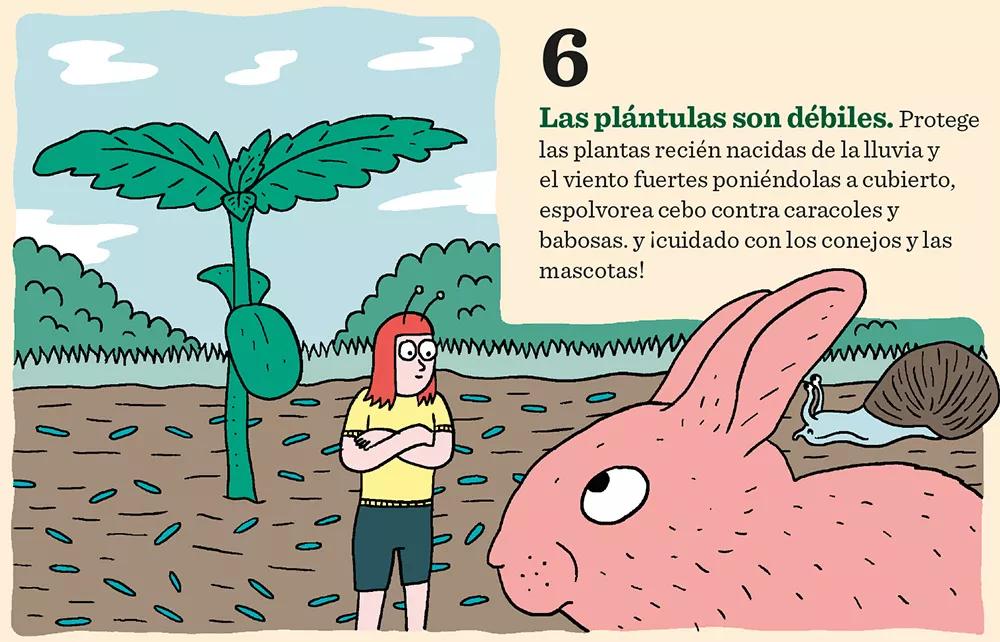 Diez claves para tener éxito en el cultivo de exterior