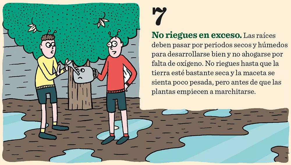 Diez claves para tener éxito en el cultivo de exterior