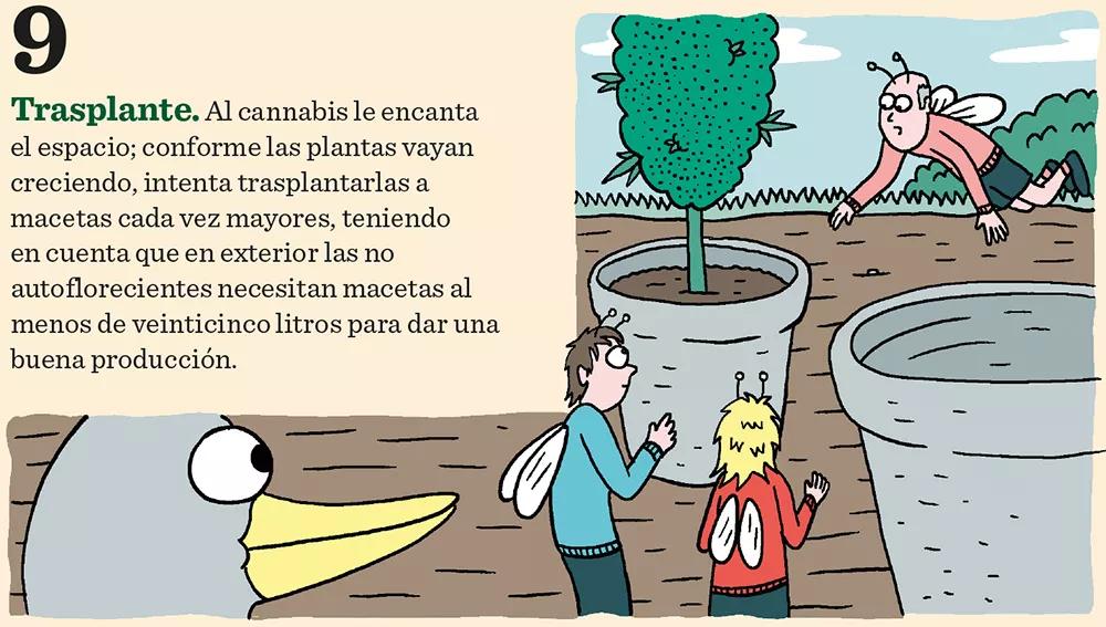 Diez claves para tener éxito en el cultivo de exterior