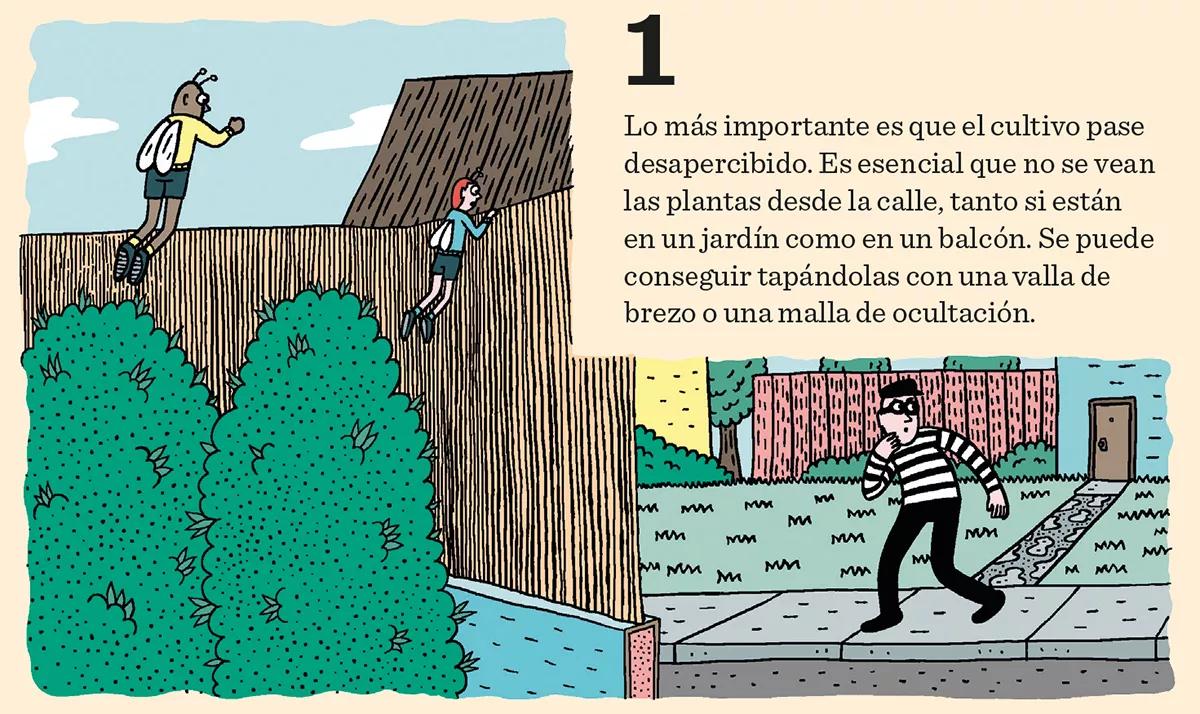 Ocho trucos para evitar a los ladrones de plantas