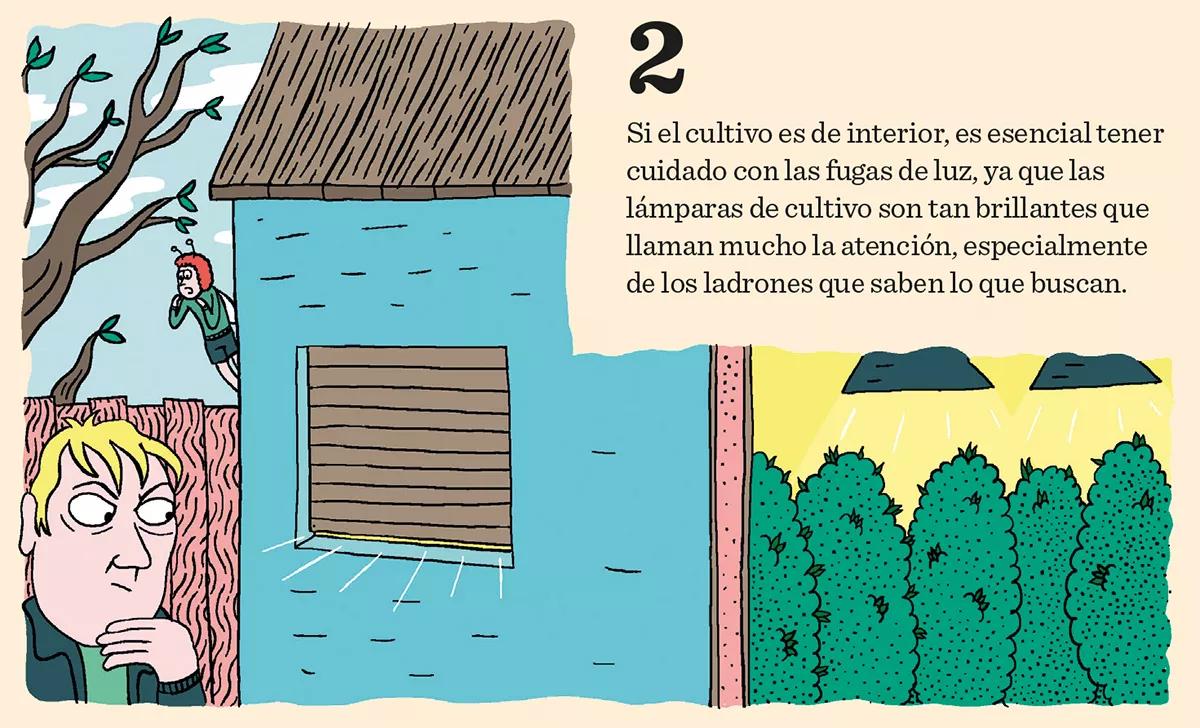 Ocho trucos para evitar a los ladrones de plantas