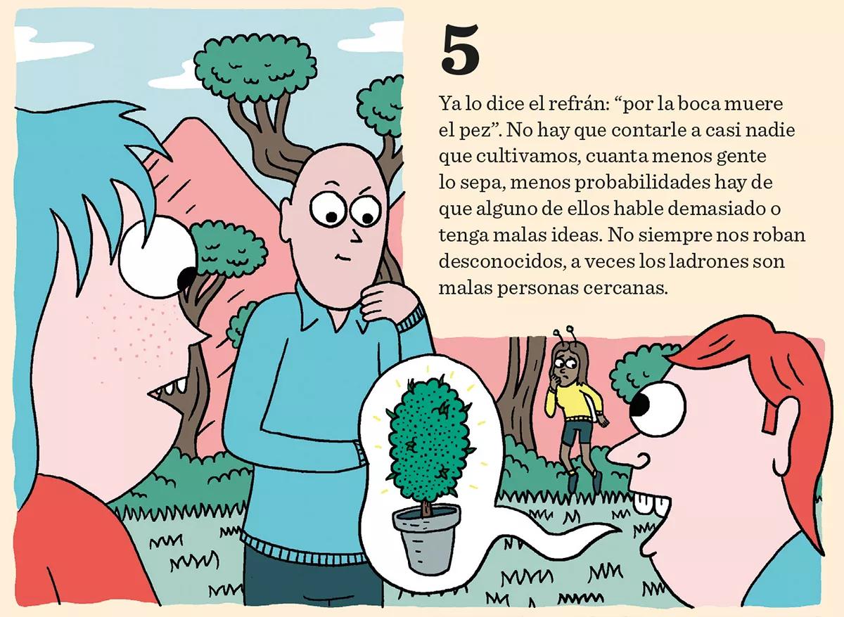 Ocho trucos para evitar a los ladrones de plantas