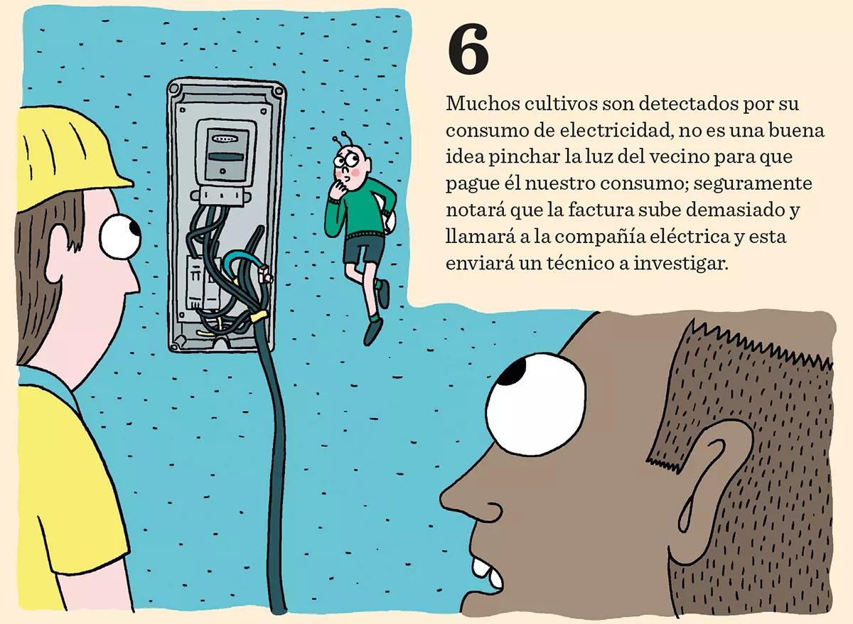 Ocho trucos para evitar a los ladrones de plantas