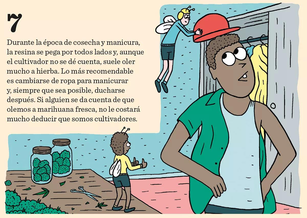 Ocho trucos para evitar a los ladrones de plantas