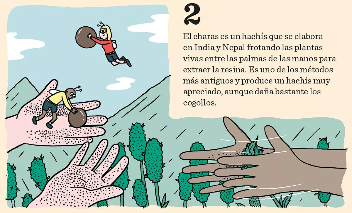 Hachís, Ice, BHO y otros extractos cannábicos
