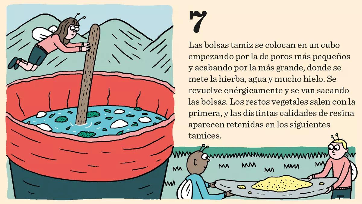Hachís, Ice, BHO y otros extractos cannábicos