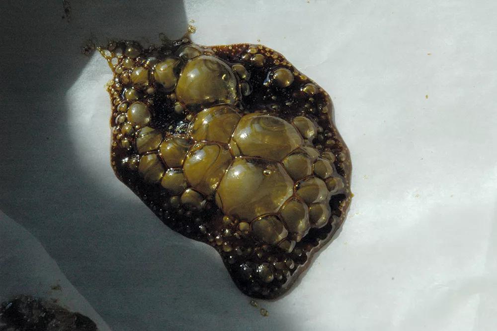 Hachís, Ice, BHO y otros extractos cannábicos