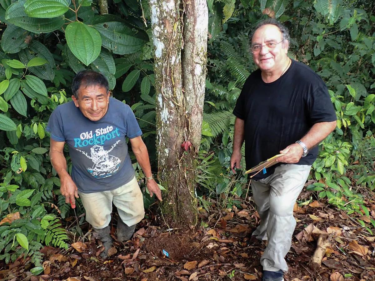 Fericgla en compañía del chamán shuar Gabriel plantando una de las lianas de ayahuasca que forman parte del proyecto etnobotánico de la casa Etno-Ahuano.