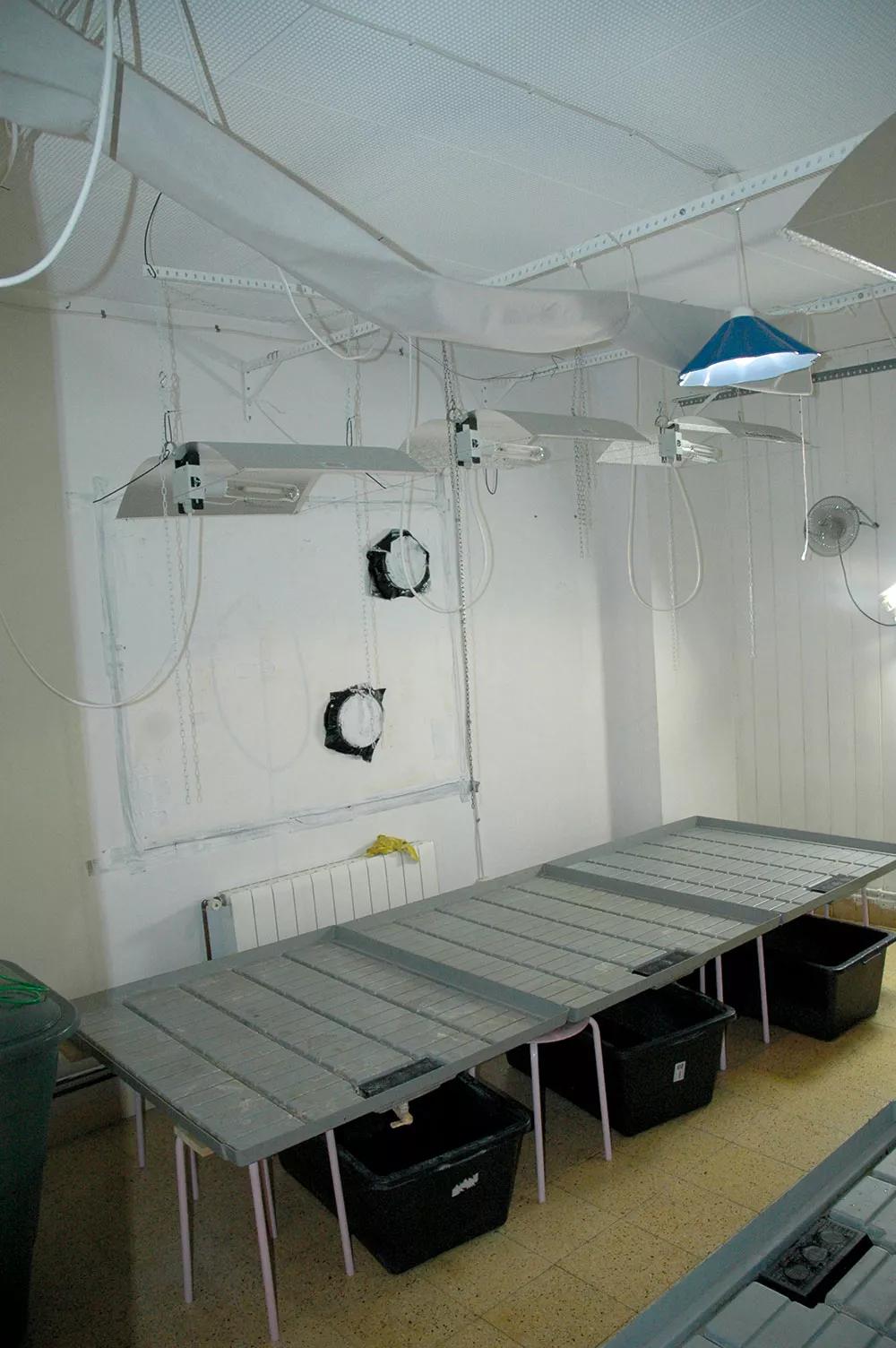 Las bandejas van bien para recuperar el agua de drenaje, pero si hay un fuga, el suelo no está protegido de filtraciones.