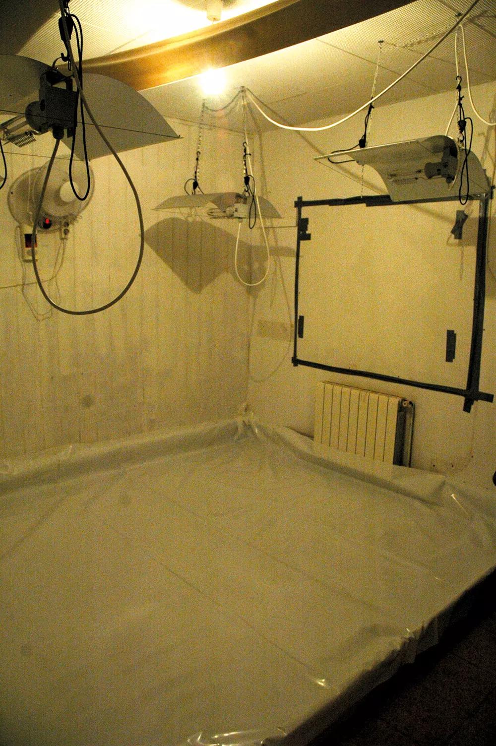 En este cuarto de cultivo se ha cubierto el suelo con plástico para no mojar a los vecinos de abajo si se derrama el agua.