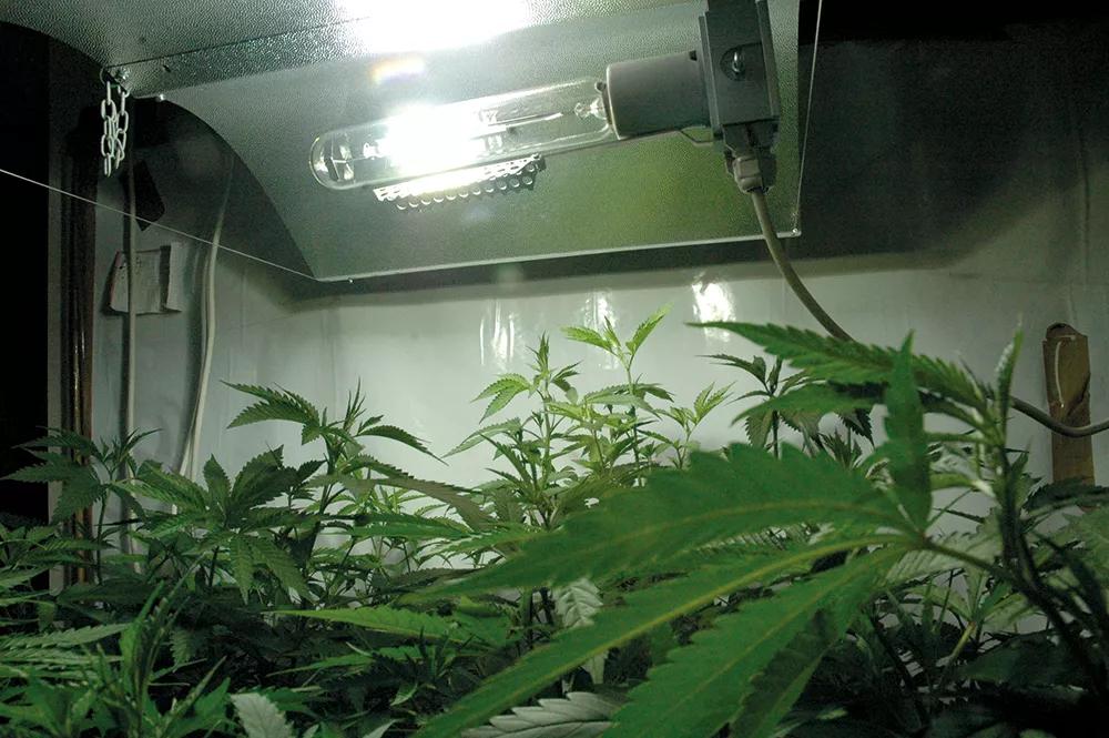 Las bombillas alcanzan altas temperaturas, asegúrate de que no puedan entrar en contacto con ningún material inflamable ni ser salpicadas por el agua de riego.