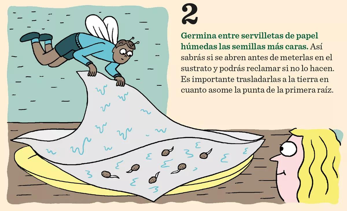 Diez consejos para la germinación y el primer crecimiento