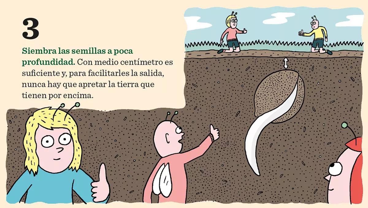 Diez consejos para la germinación y el primer crecimiento