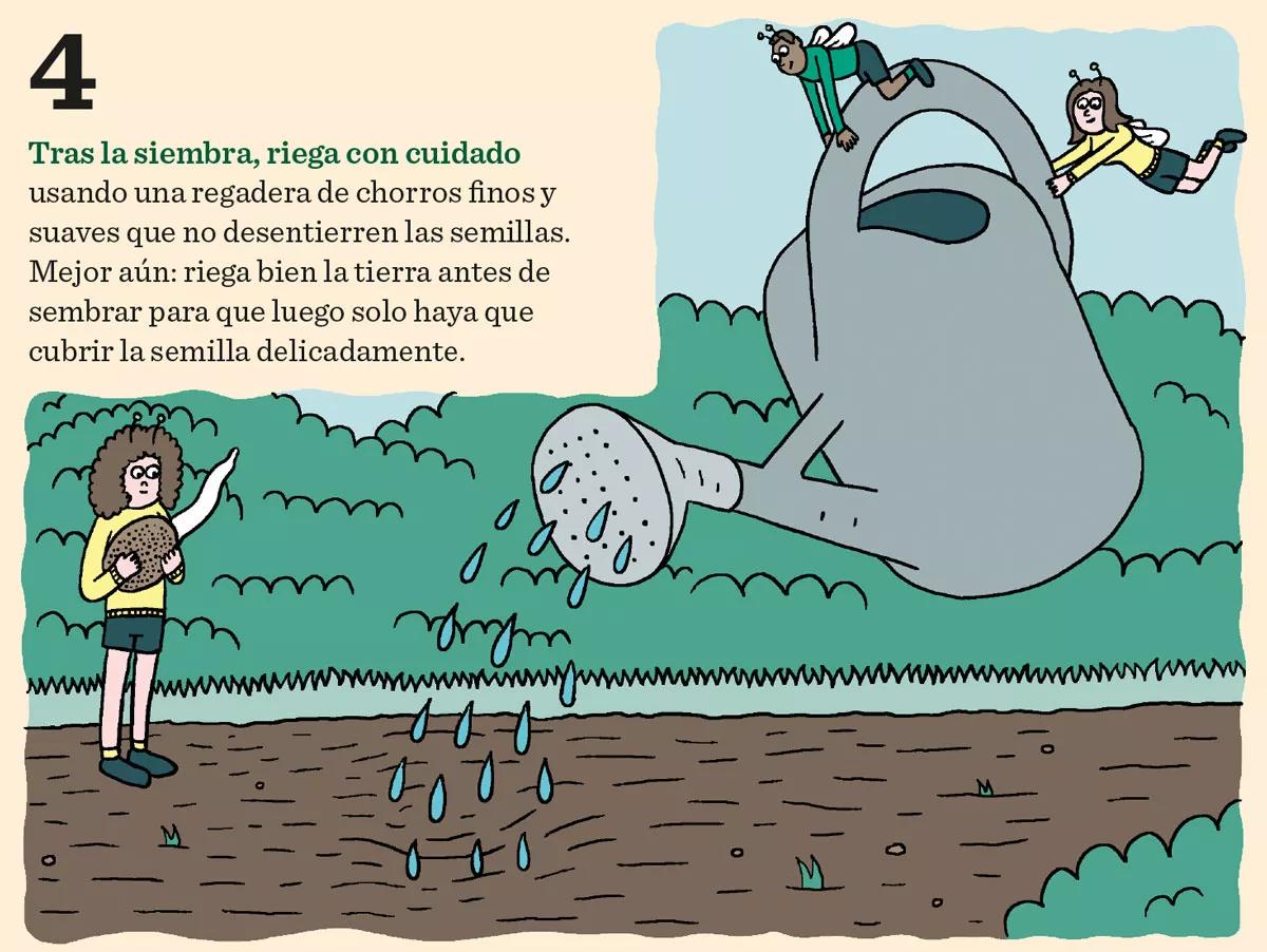 Diez consejos para la germinación y el primer crecimiento
