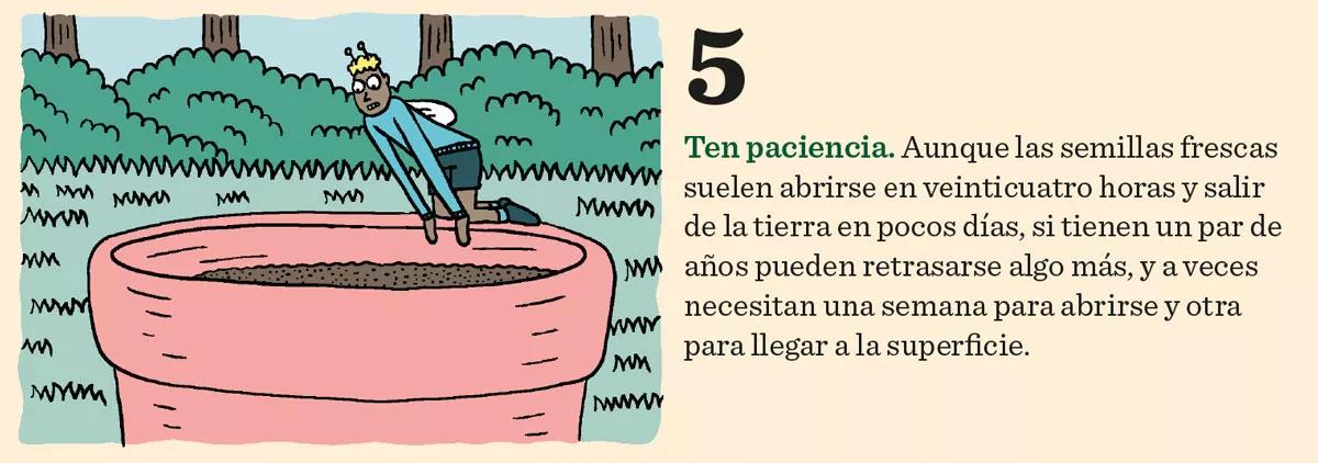 Diez consejos para la germinación y el primer crecimiento