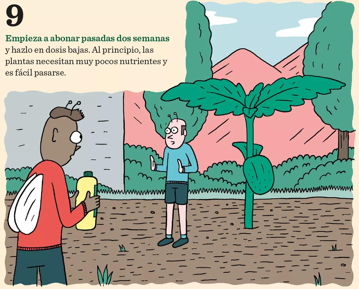 Diez consejos para la germinación y el primer crecimiento
