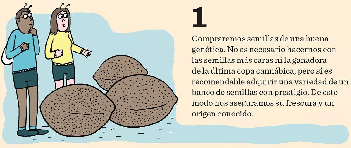 Los diez pasos básicos para la primera cosecha
