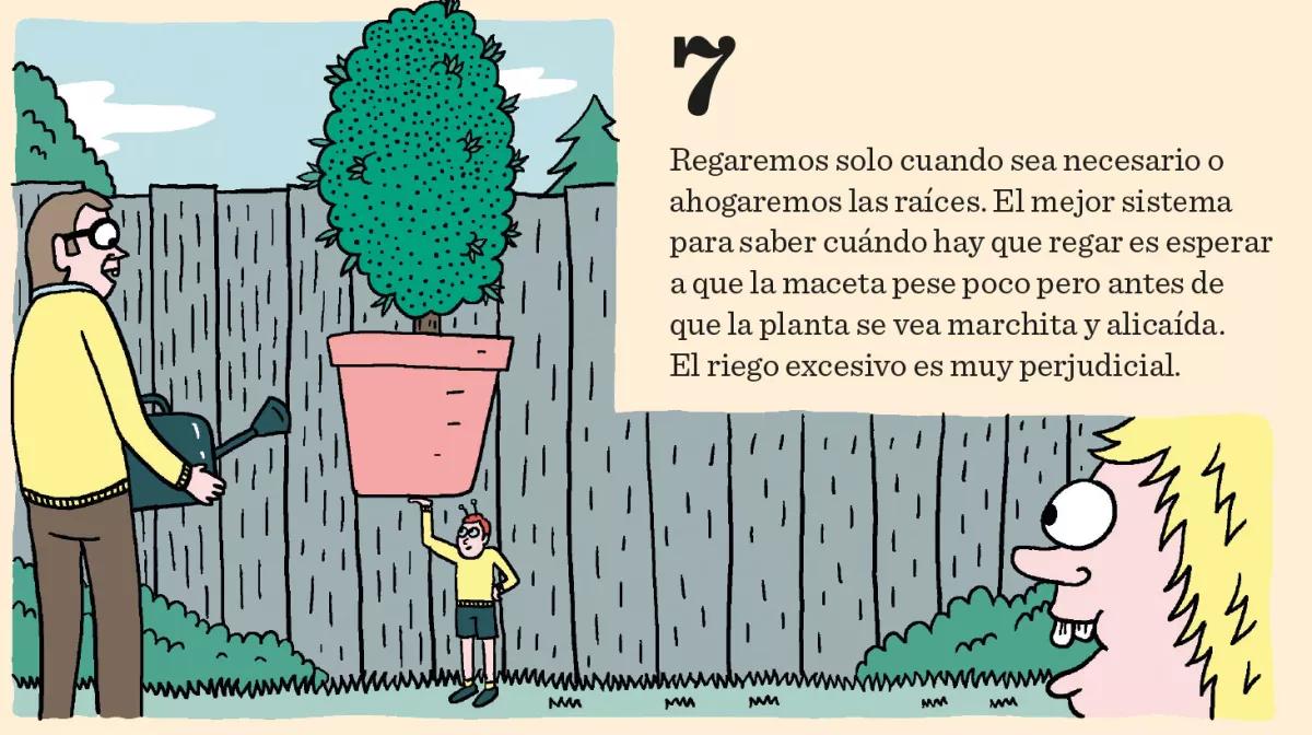 Los diez pasos básicos para la primera cosecha